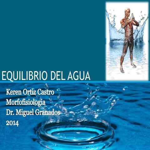 Equilibriio del agua