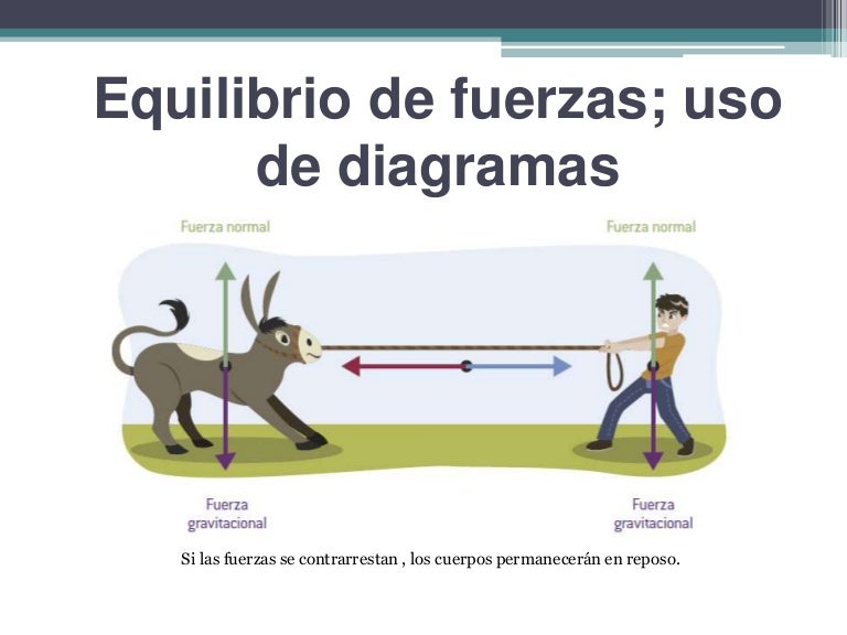 Equilibrio de Fuerzas