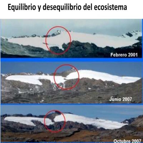 EQUILIBRIO Y DESEQUILIBRIO DE LOS ECOSISTEMAS.pptx