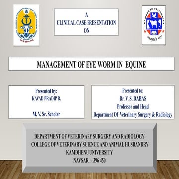 eye affections and Equine eye worm .pptx