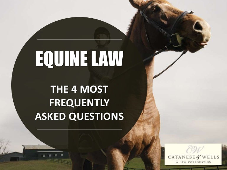 Equine Law The 4 Most Frequently Asked Questions