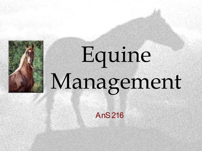 Equine Management
