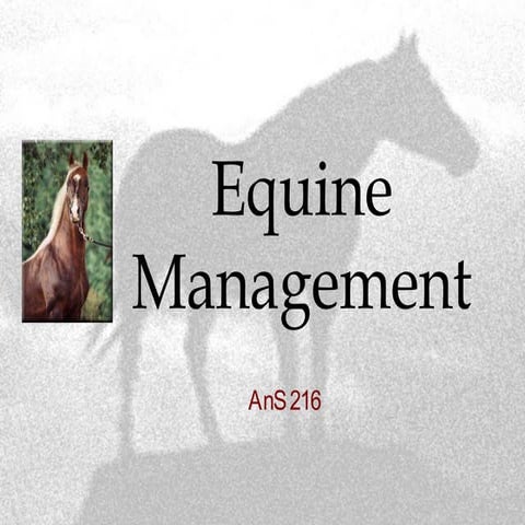 Equine Management | PPT