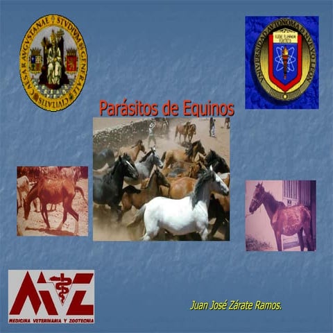Equinos2008