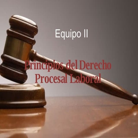 Principios de Derecho Procesal Laboral