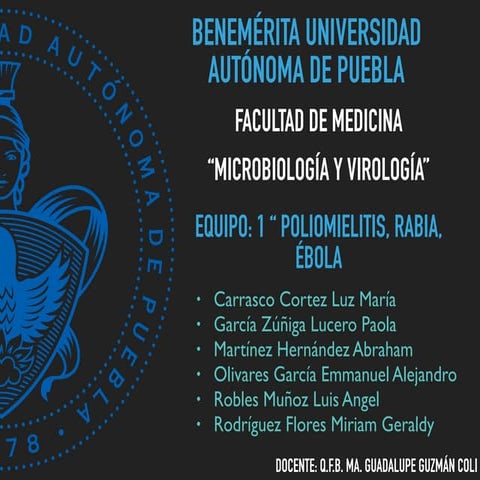 Poliomielitis, tractos que afecta y lesiones en médula | PDF