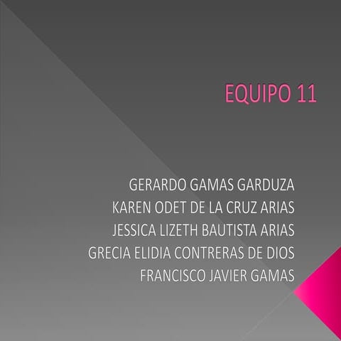 Equipo 11