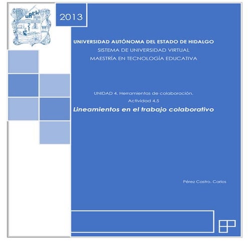 Llineamientos del tabajo colaborativo