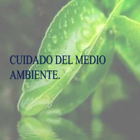 Cuidado del Medio Ambiente