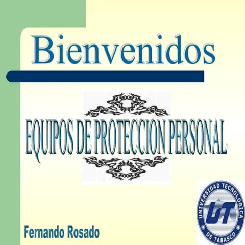 Equipos De ProteccióN Personal (Epp)
