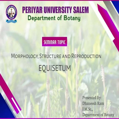 Morphology, Structure and Reproduction of Equisetum. 