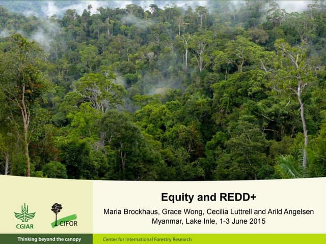 Equity and REDD+: Perspectives from CIFOR’s global comparative study