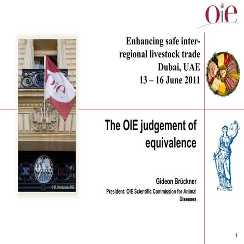 The OIE judgement of equivalence