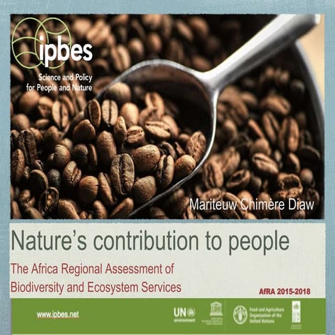 Nature’s Contribution to People: The Africa Regional Assessment of Biodiversi...