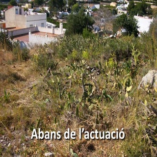 Eradicació d'espècies invasores