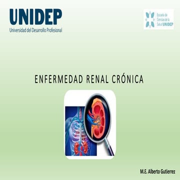 Enfermedad Renal Crónica y nutricio.pptx