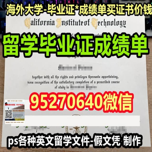 USQ成绩单 | PDF