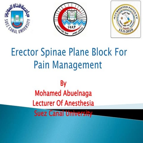 Erector spinae plane block for pain management