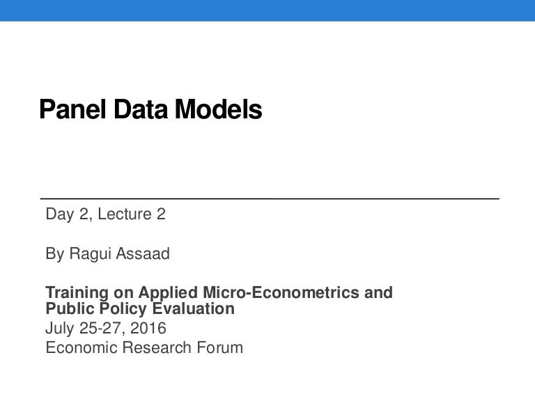 Panel Data Models