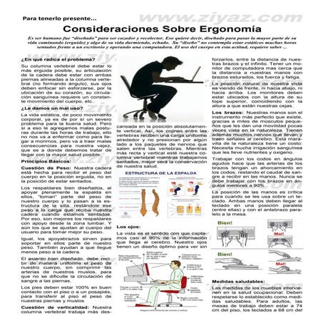 Sillas Ergonómicas - Consideraciones sobre Ergonomía