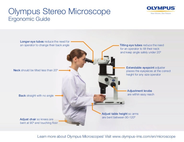 Infographic Stereo Microscope Ergonomic Guide