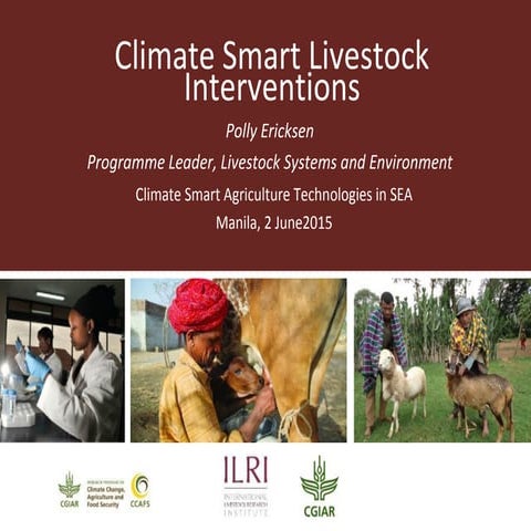 Climate smart livestock interventions