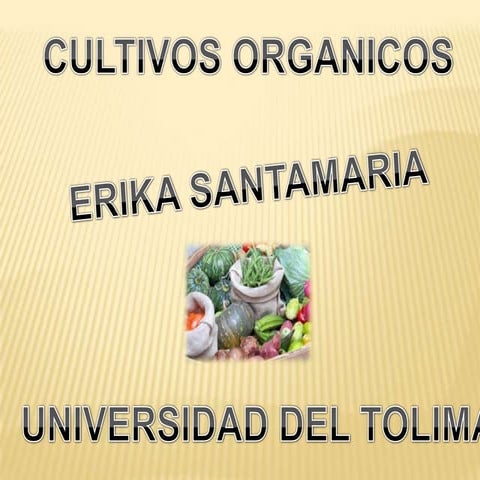 CULTIVOS ORGANICOS