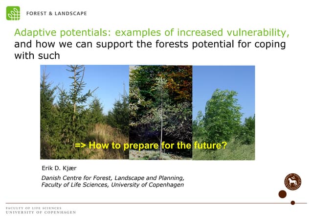 thumbnail of  Adaptive potentials: examples of increased vulnerability, and how we can support the forests potential for coping with such