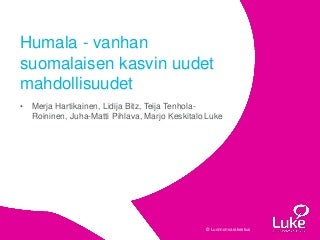 Humala - vanhan suomalaisen kasvin uudet mahdollisuudet 17.8.2017 Humala - vanhan suomalaisen kasvin uudet mahdollisuudet 17.8.2017
