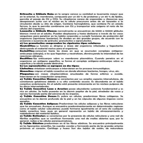 Eritrocito o glóbulo rojo