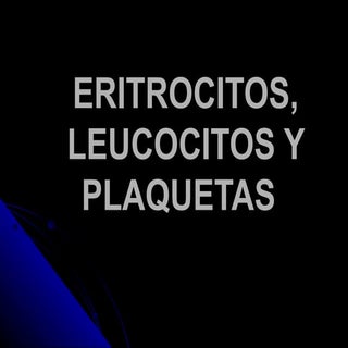 Eritrocitos, leucocitos y plaquetas