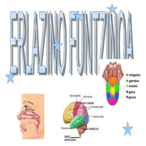 Erlazino funtzinoa leire