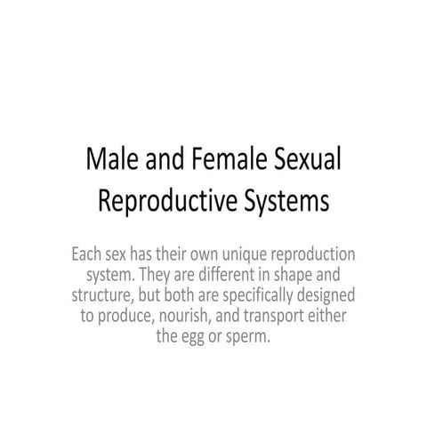 Male and Female reproductive system slide
