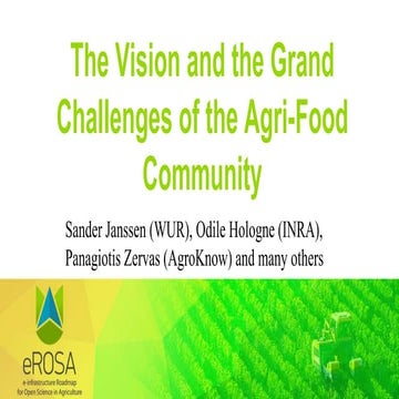 The Vision and the Grand Challenges of the Agri-Food Community