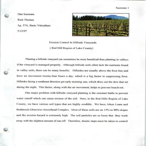 Erosion Control In Hillside Vineyards