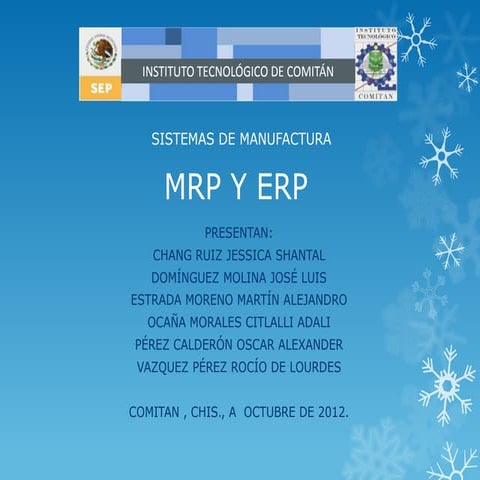 Erp: requetimiento de recursos empresariales