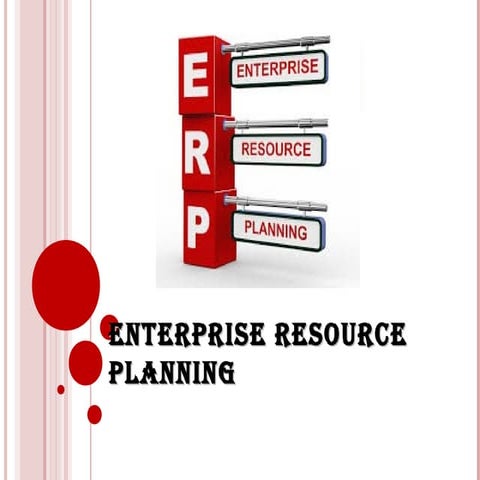 ERP implementation and the role of a CA