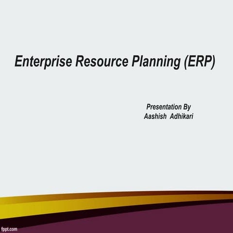 Enterprise Resource Planning (ERP)