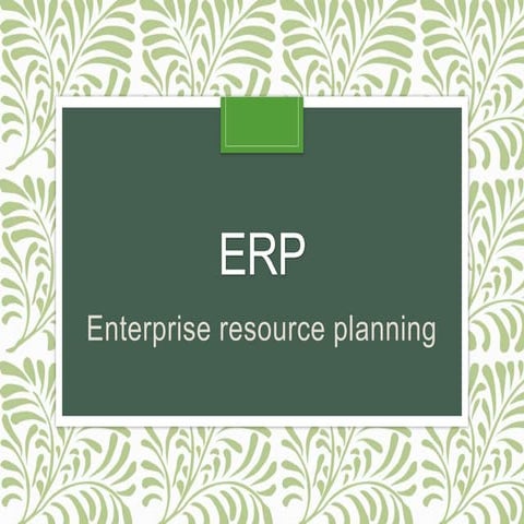 Erp (enterprise resourse planing)