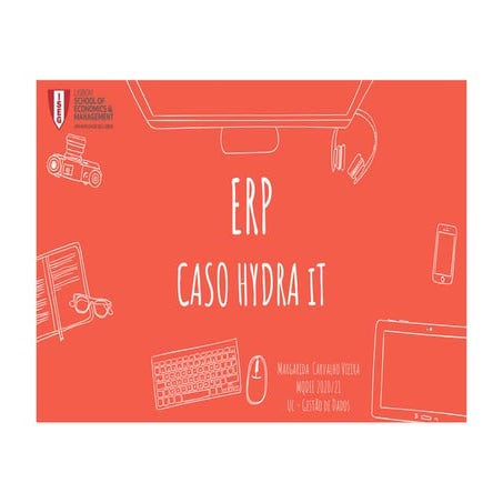 ERP: Caso Hydra IT