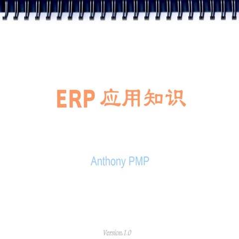 Erp Implementation
