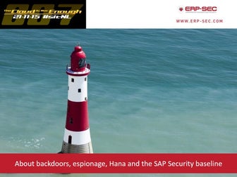Erp security joris-van_de_vis_sap_security_sitnl_2015_v0.2