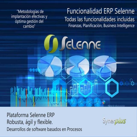 ERP Selenne | PPTX