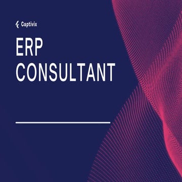 ERP Consultant.pdf