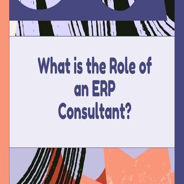 ERP Consultant 