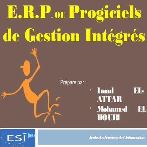 E.R.P. ou Progiciels de Gestion Intégrés 