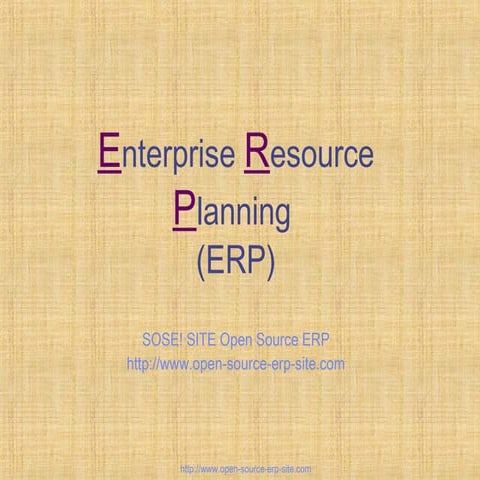 Erp presentation