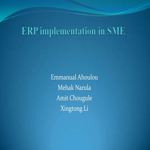 Consultants role in ERP implementations in SME