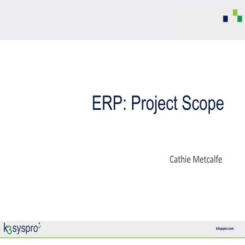 ERP Project Scope
