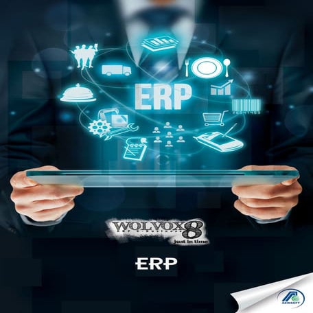 Akınsoft Wolvox ERP 